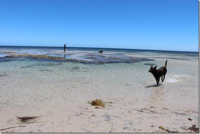 Beachside Holiday Park Normanville Bagian luar foto